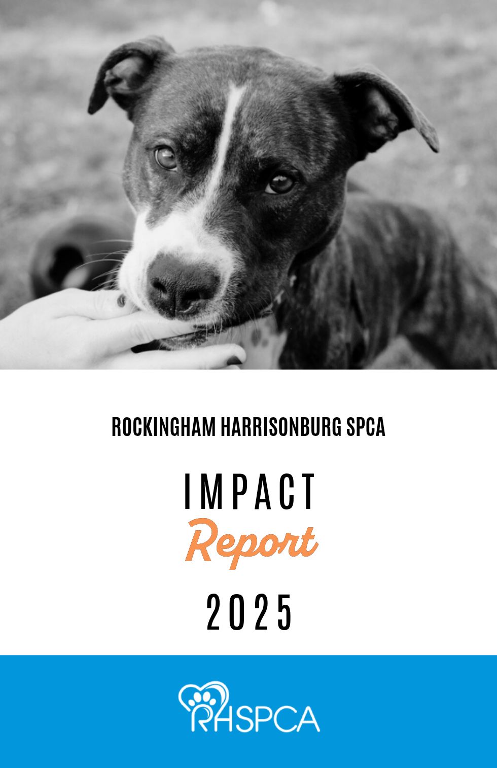 Rockingham Harrisonburg SPCA 2025 Impact Report