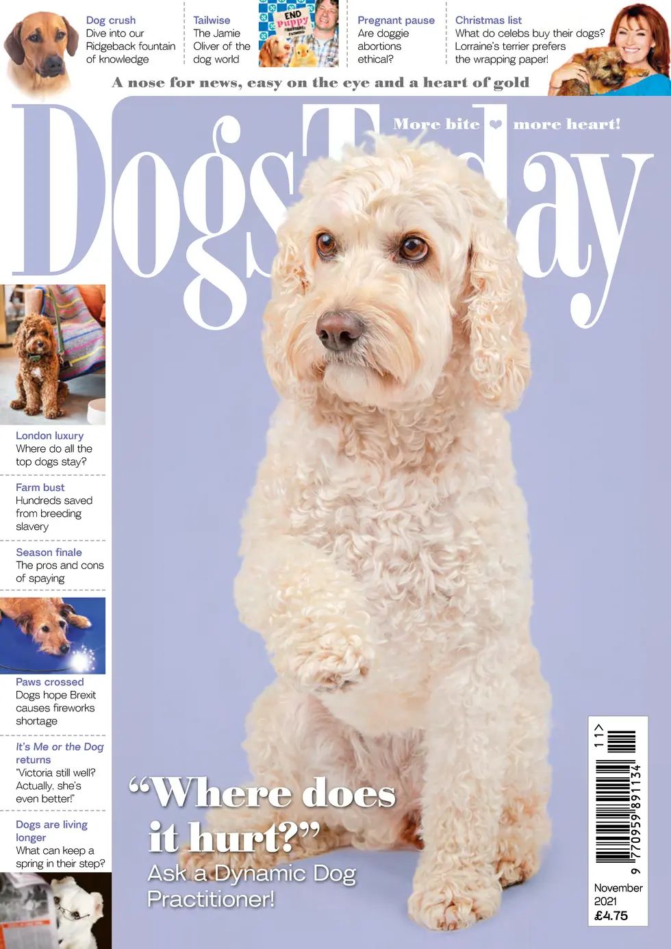 Dogs Today_November_2021