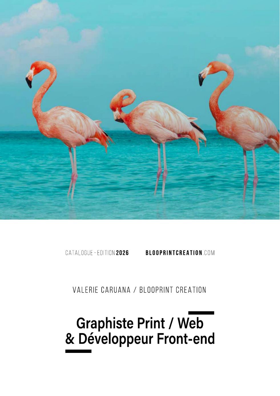 Blooprint Creation brochure
