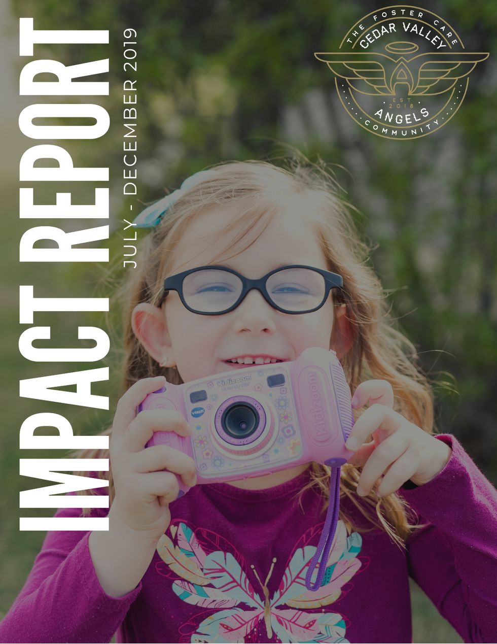 2019 Annual Impact Report