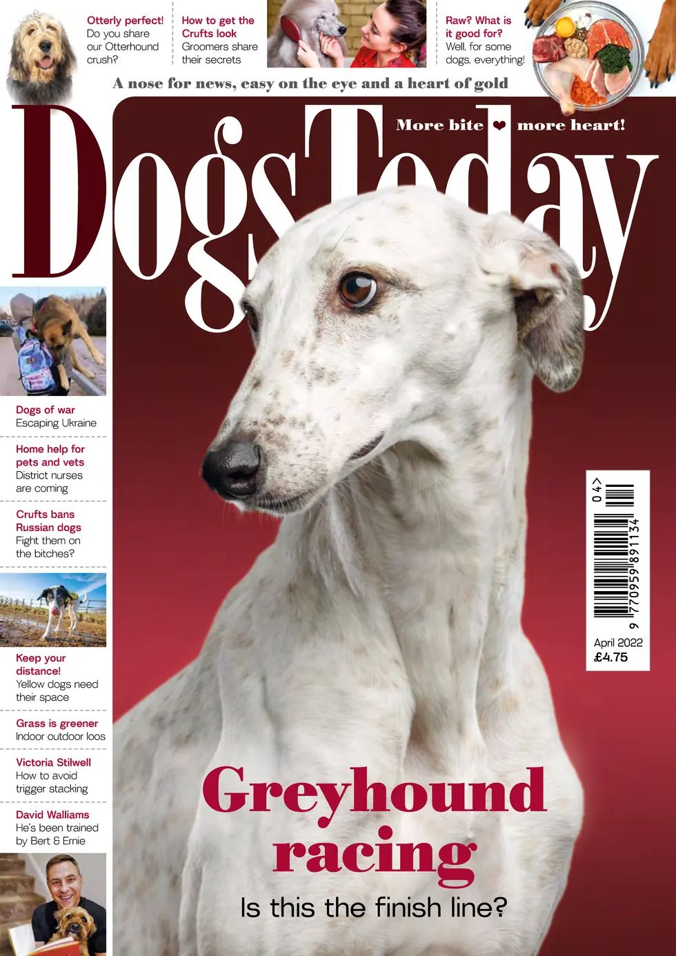 Dogs Today_April_2022