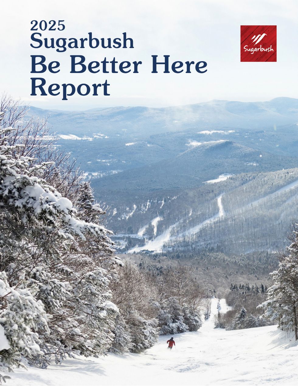 Be Better Here Report 2025