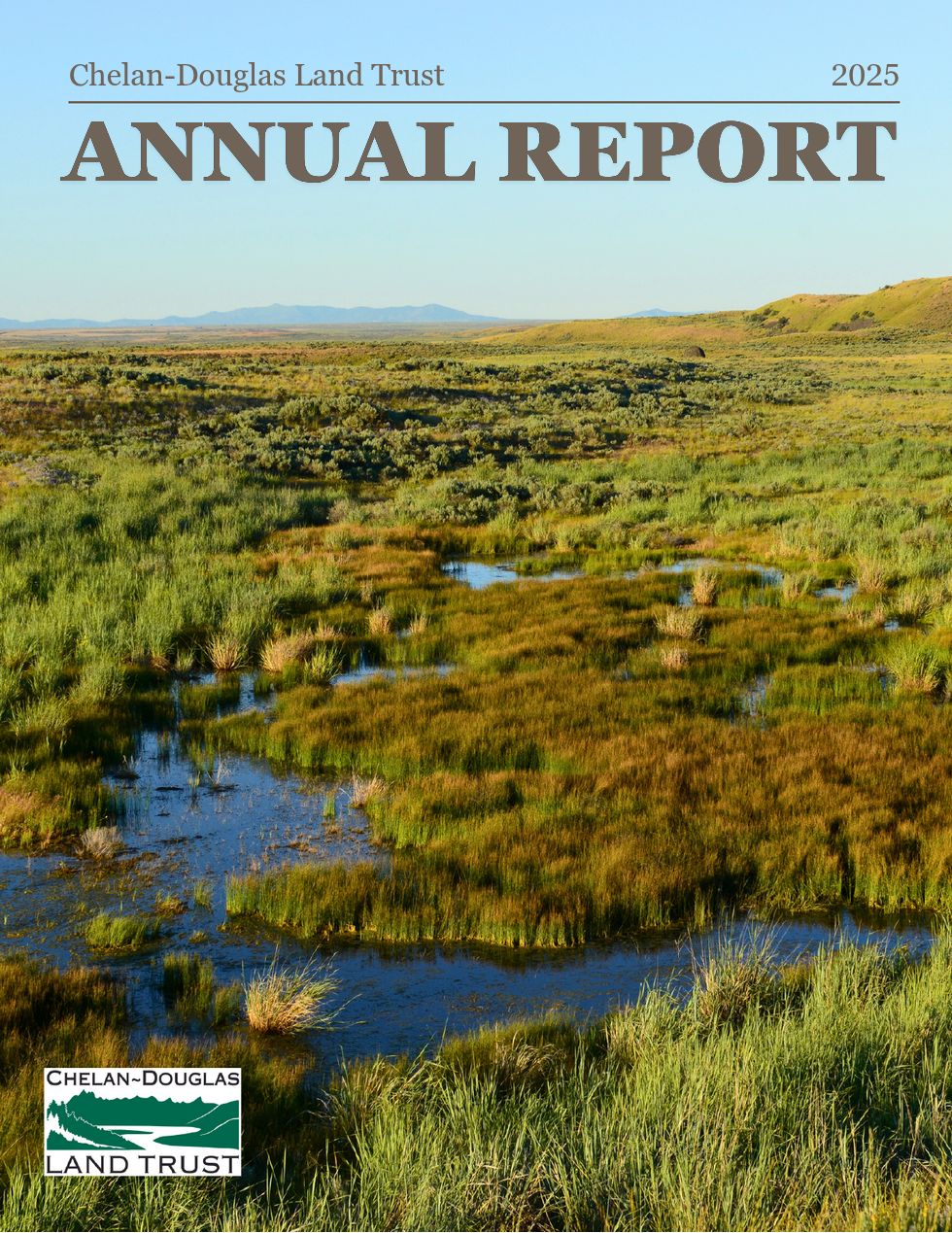 2025 Annual Report pgs 1-3