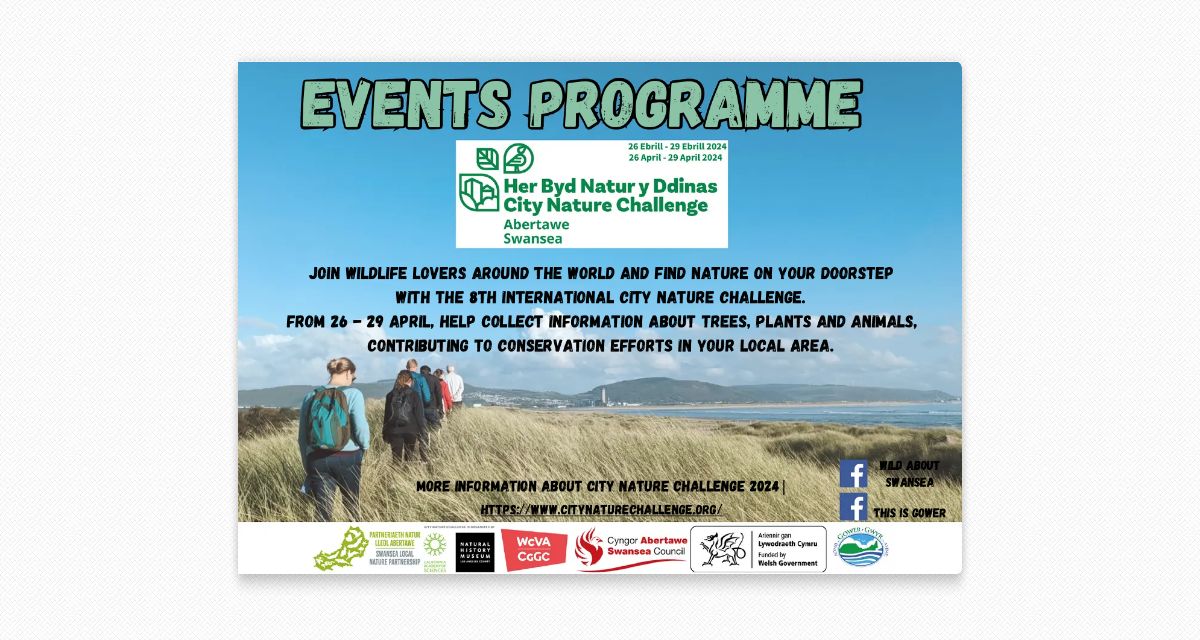 City Nature Challenge 2024 Swansea, Events Programme