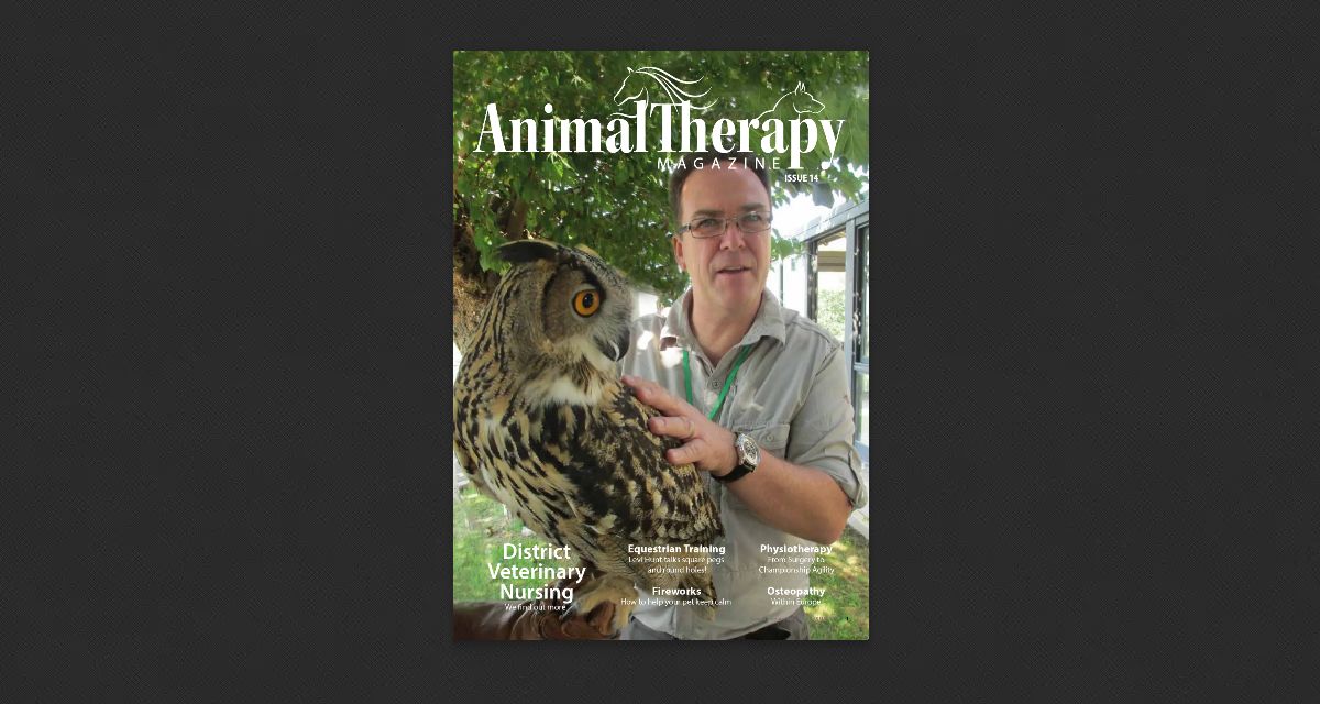 Issue 14