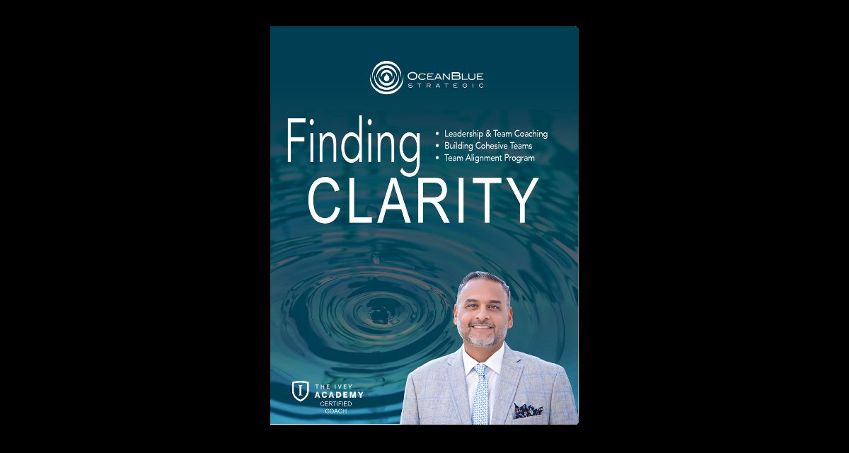 clarity and connection book
