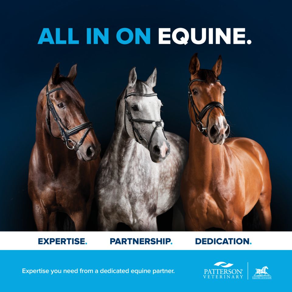 Equine Division Brochure