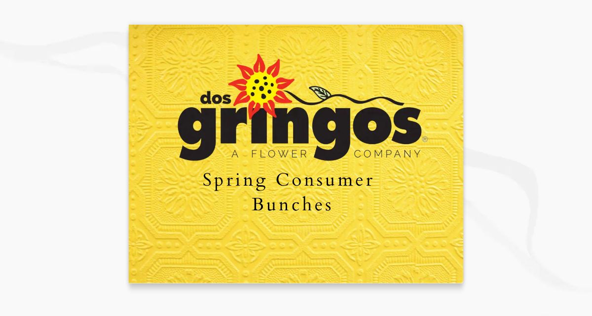 Dos Gringos Spring Consumer Bunches 20242025