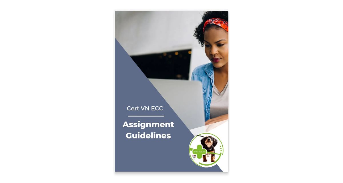nuig assignment guidelines