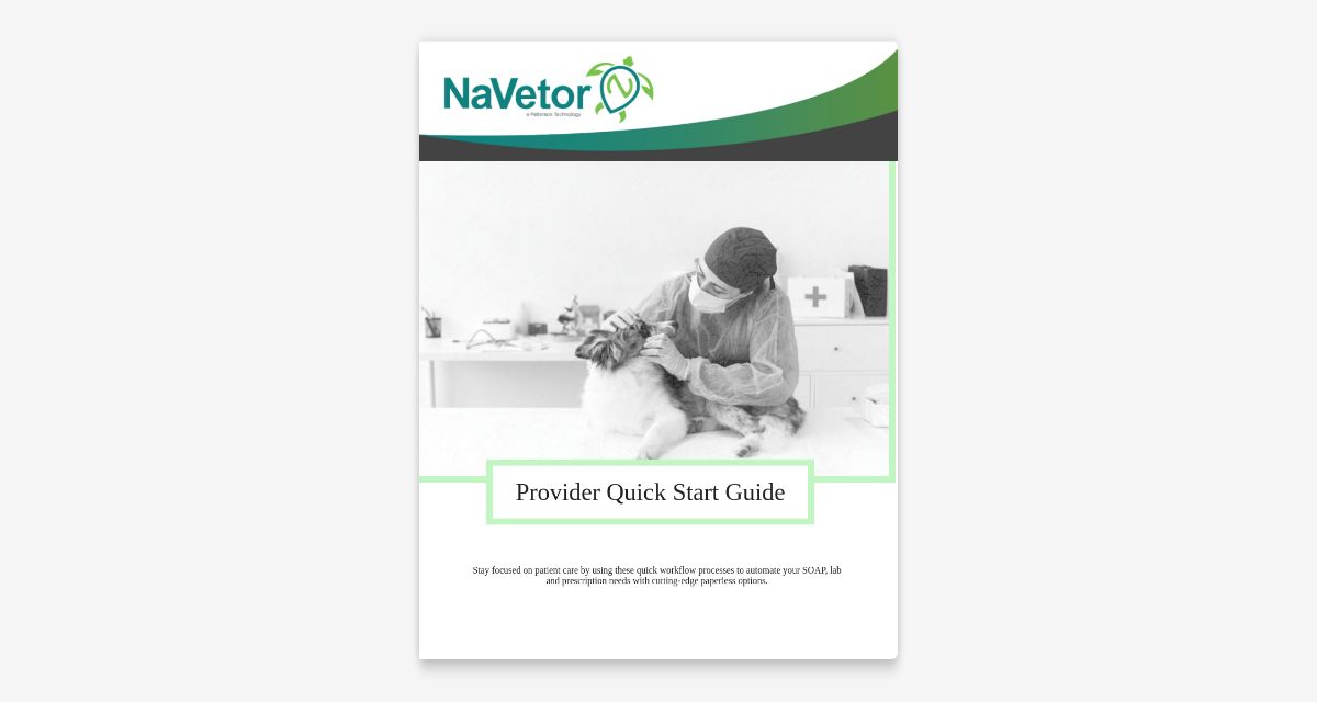 NaVetor Provider Quick Start