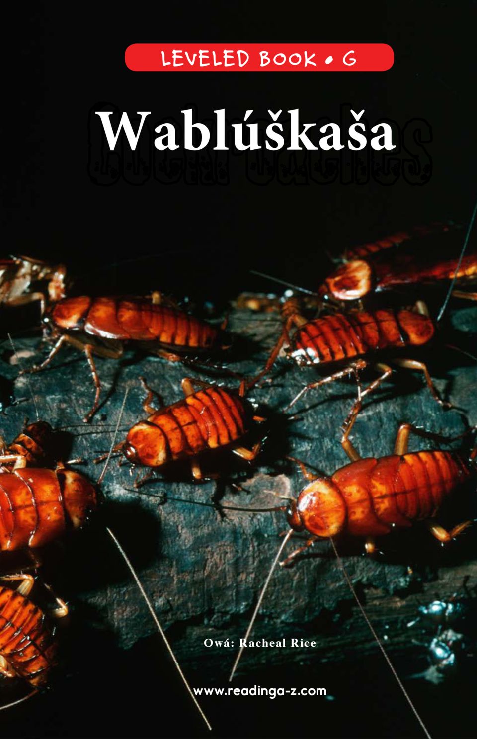 Wablúškaša