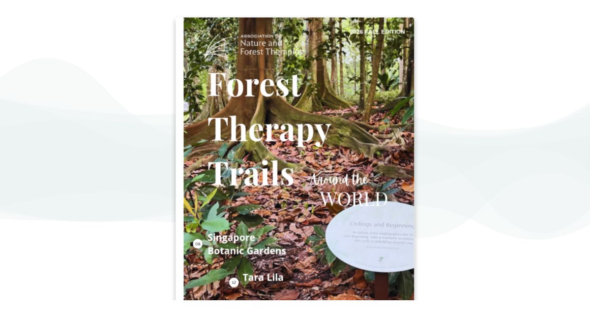 Forest Therapy Trails