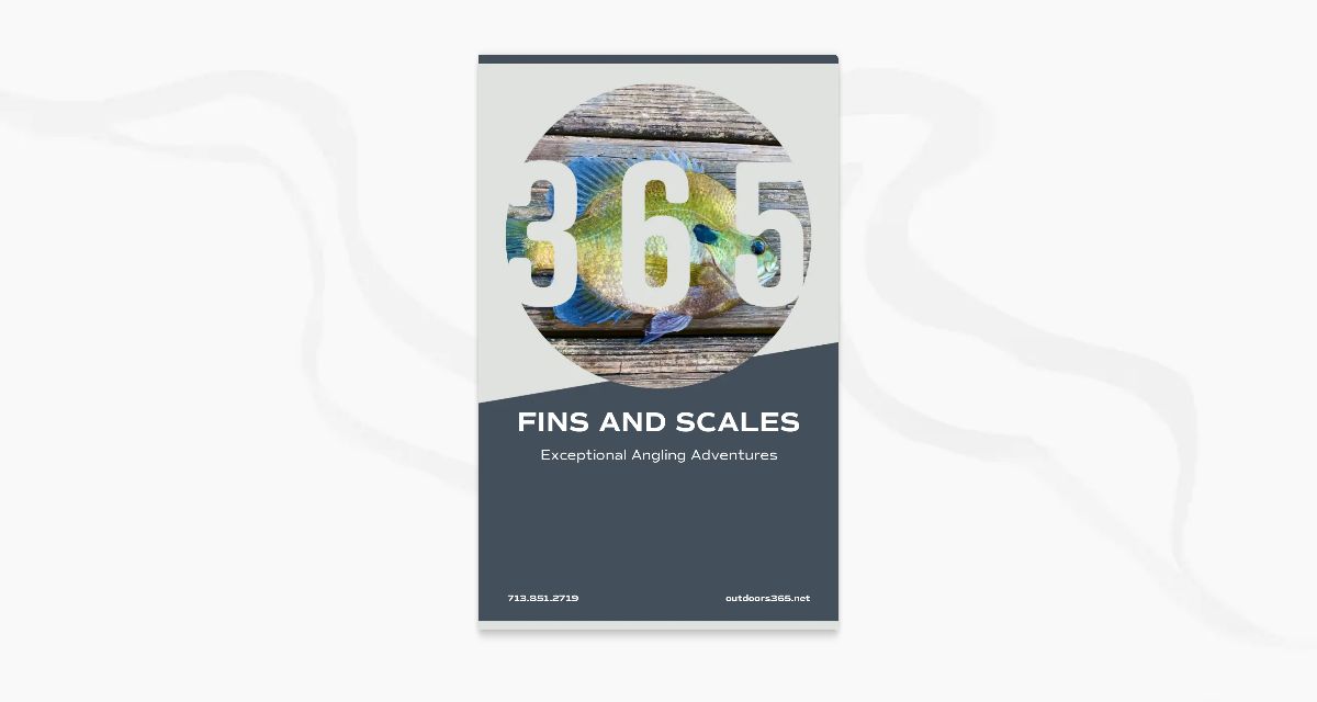 O365 Fins and Scales Bifold