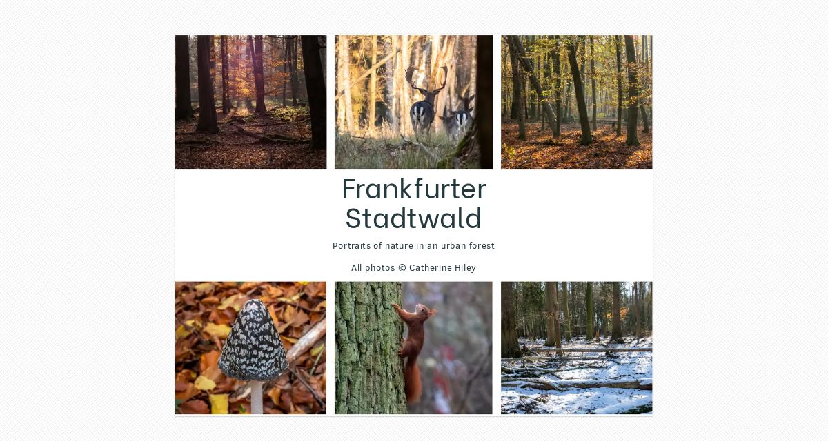 Frankfurter Stadtwald : simplebooklet.com
