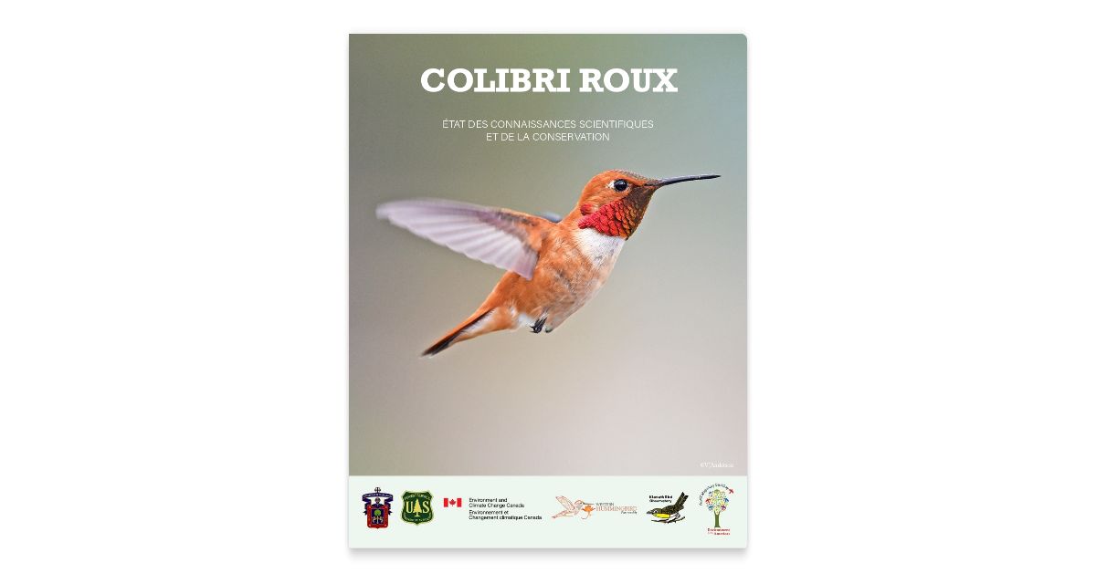 COLIBRI ROUX: ÉTAT DES CONNAISSANCES SCIENTIFIQUES ET DE LA CONS ...