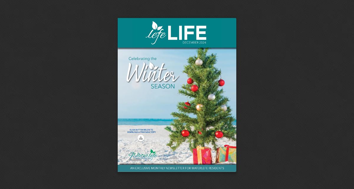LEFE LIFE | December 2024