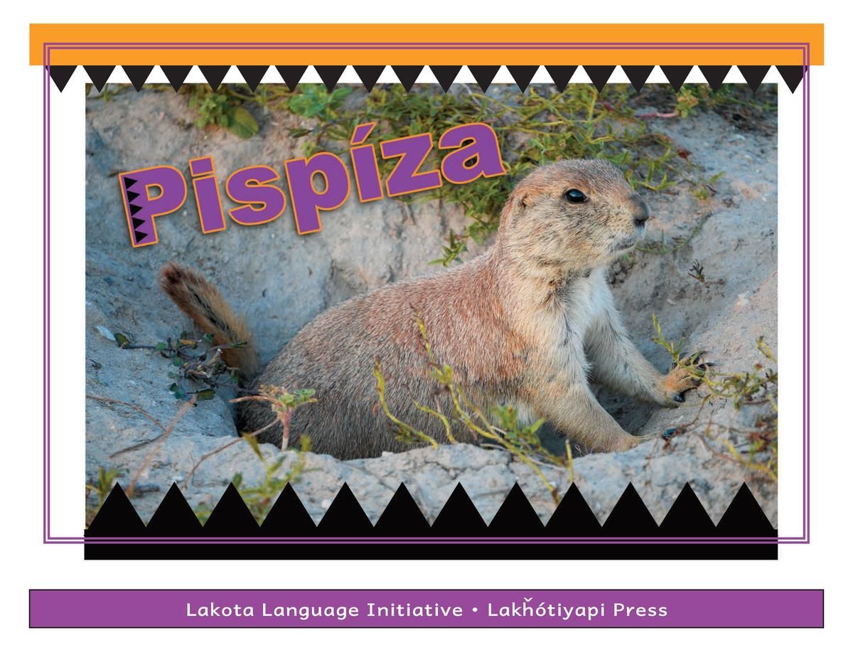 Pispí­za