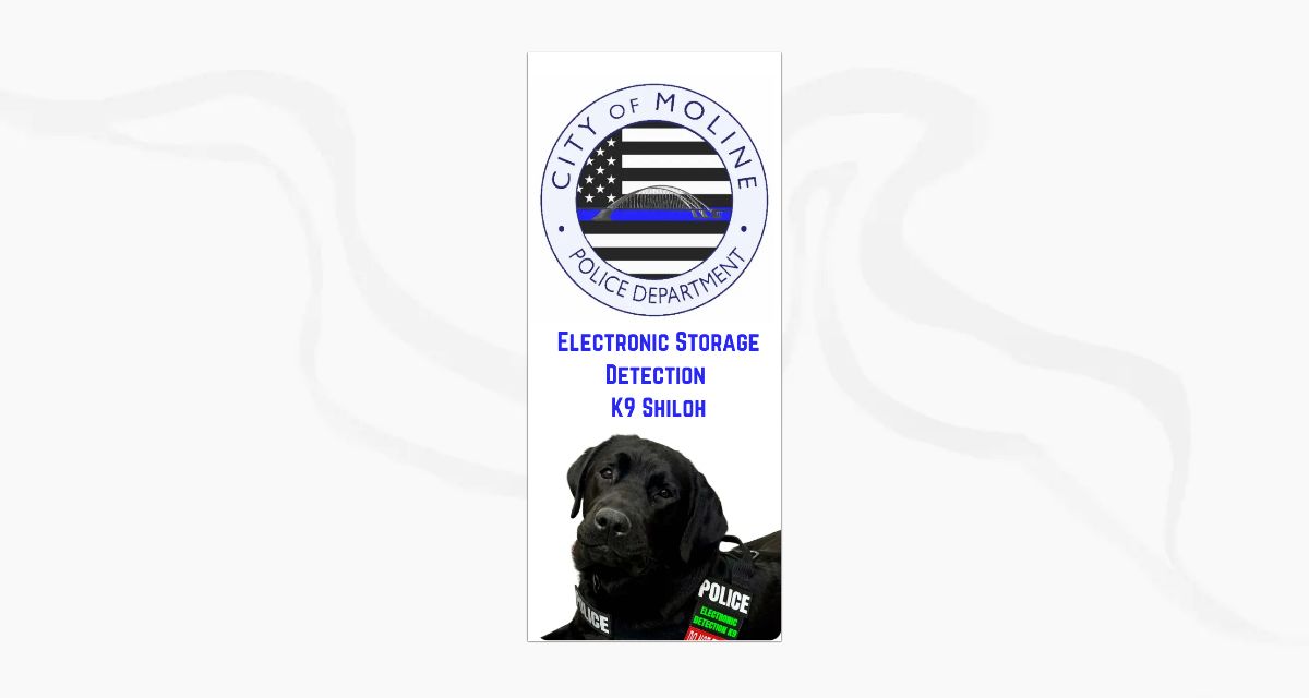 Electronic Storage Detection K9