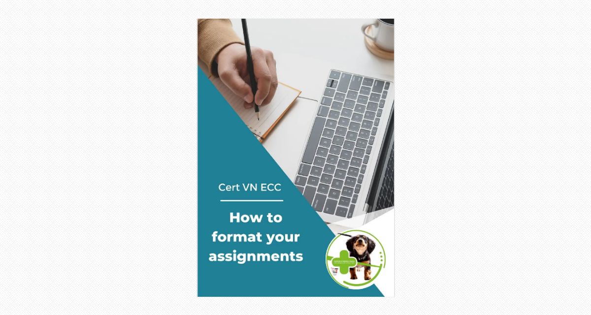 How to format your assignments