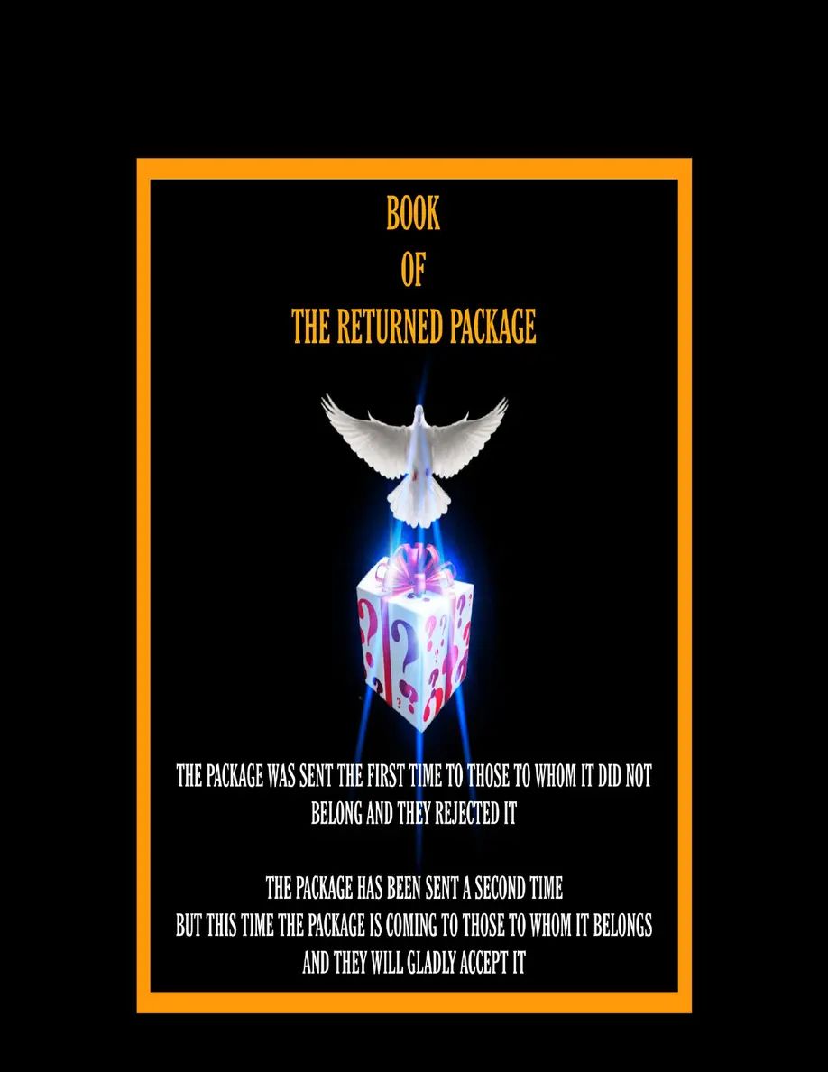 Book of The Returned Package