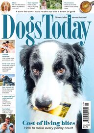 Read Our May Issue For Free Dogs Today Magazine