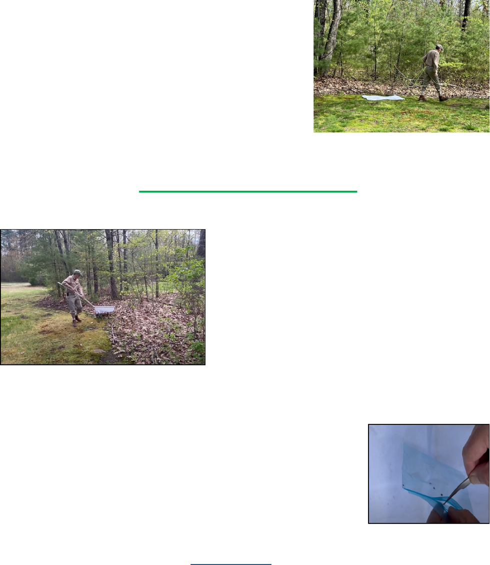 Tick BYTES Time to Drag for Ticks