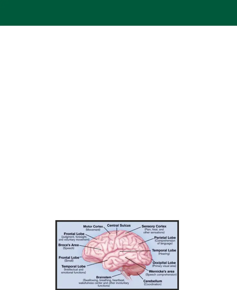 TRMC Stroke Booklet