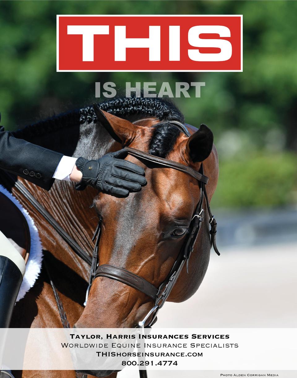 TCE Digital Mag March/April 2020