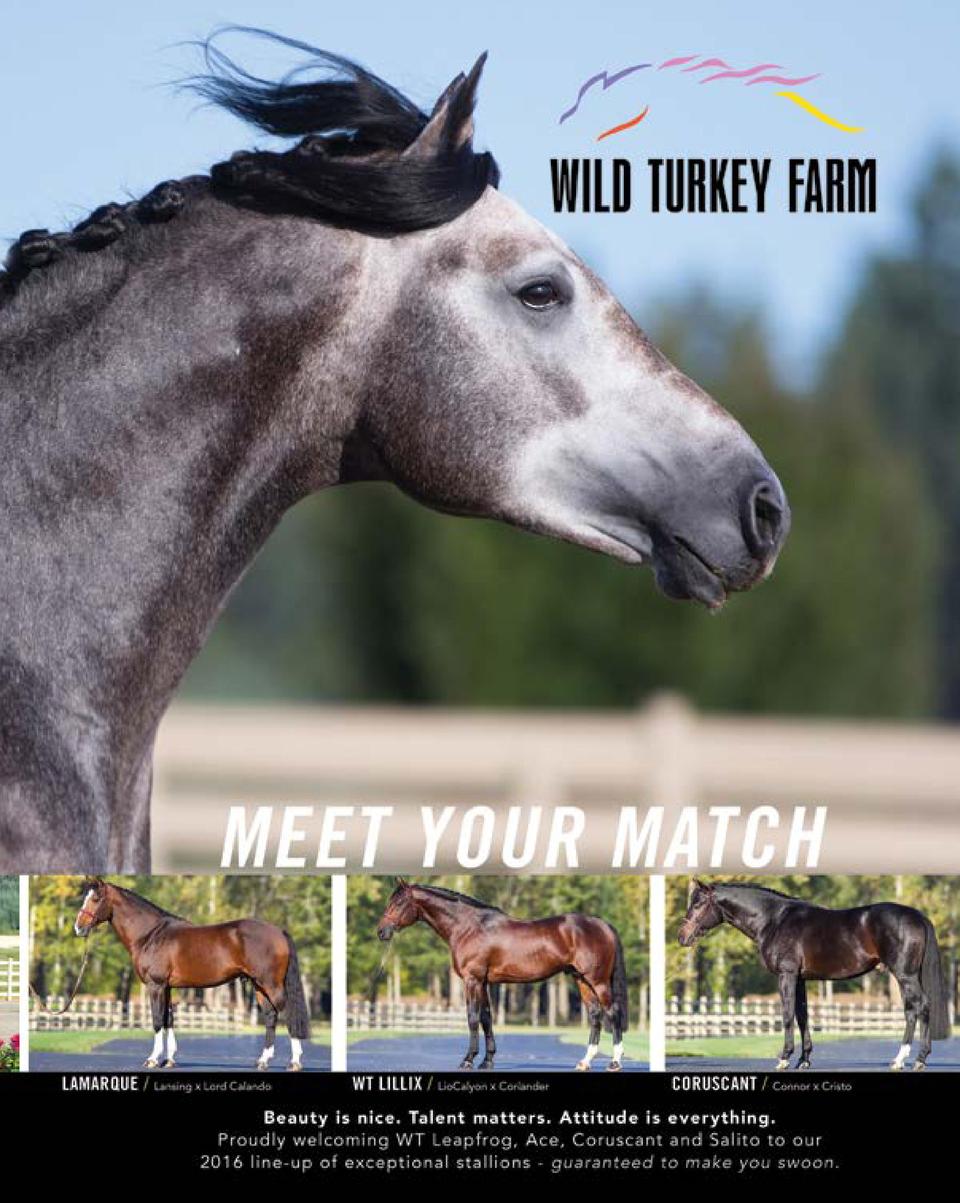 The Competitive Equestrian Jan F Simplebooklet Com