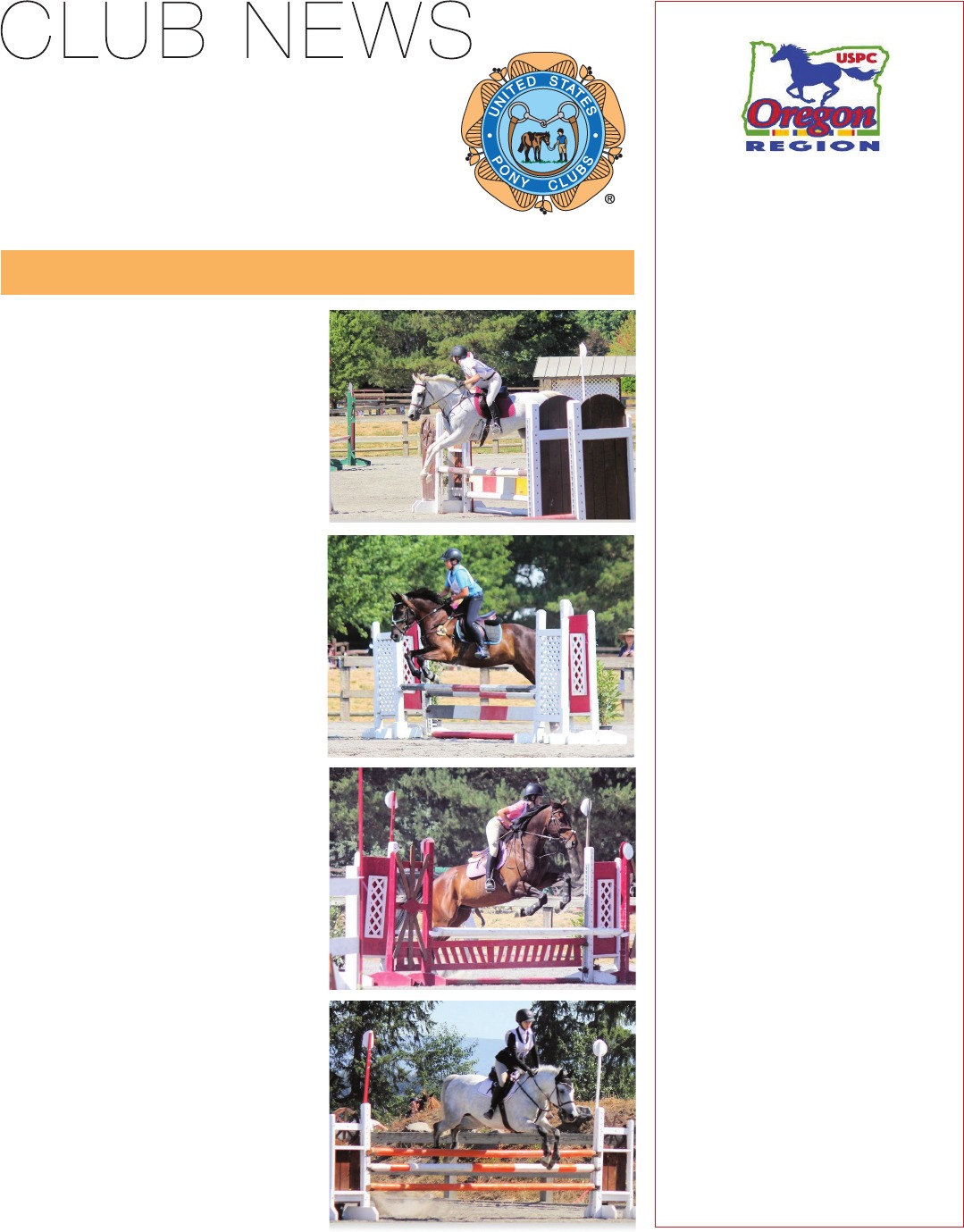 The Competitive Equestrian