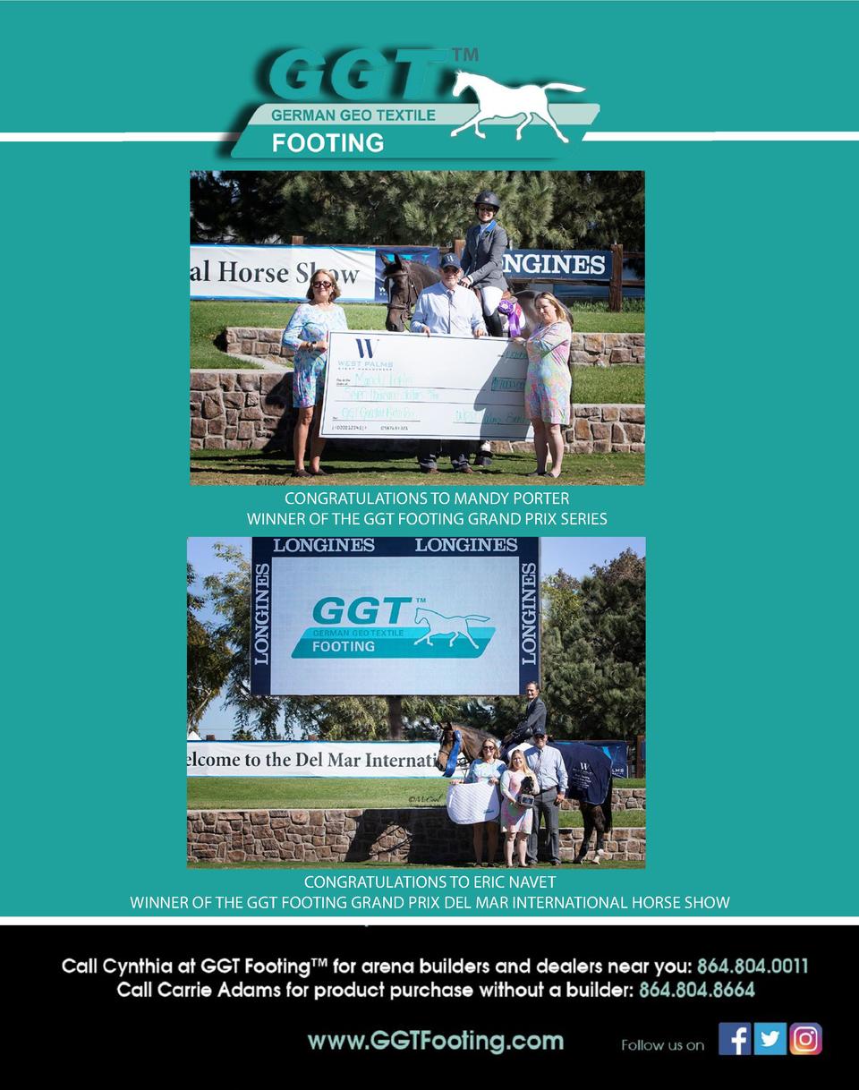 The Competitive Equestrian Novem