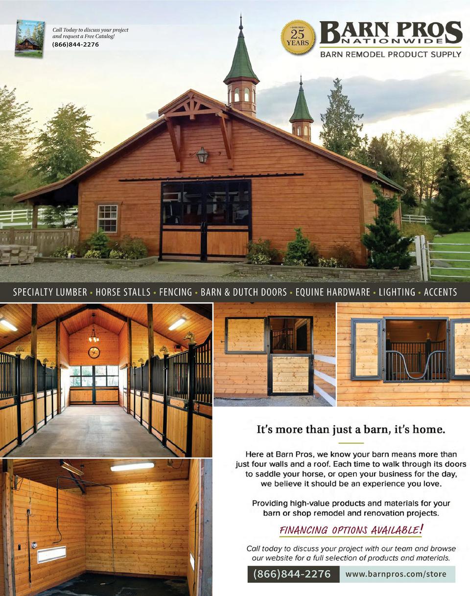 The Competitive Equestrian Novem