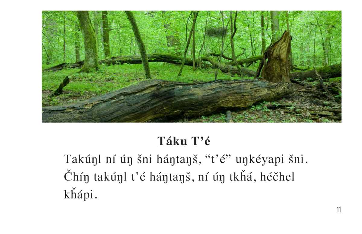 Ni Uŋ Naiŋs Ni Uŋ Sni