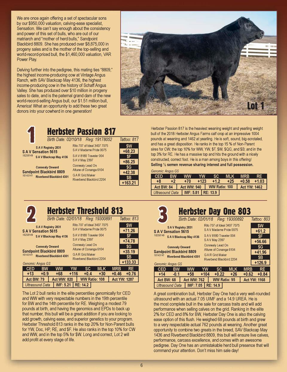 2herbsteranguscatalog2019 Id17 Simplebooklet Com S a v registry 2831. 2herbsteranguscatalog2019 id17