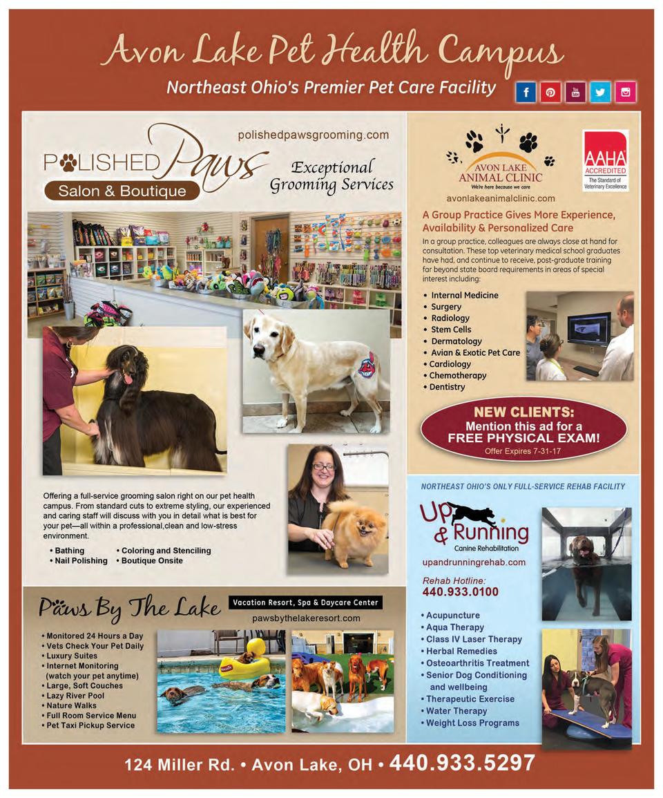 Cle Dog July 2017 Simplebooklet Com