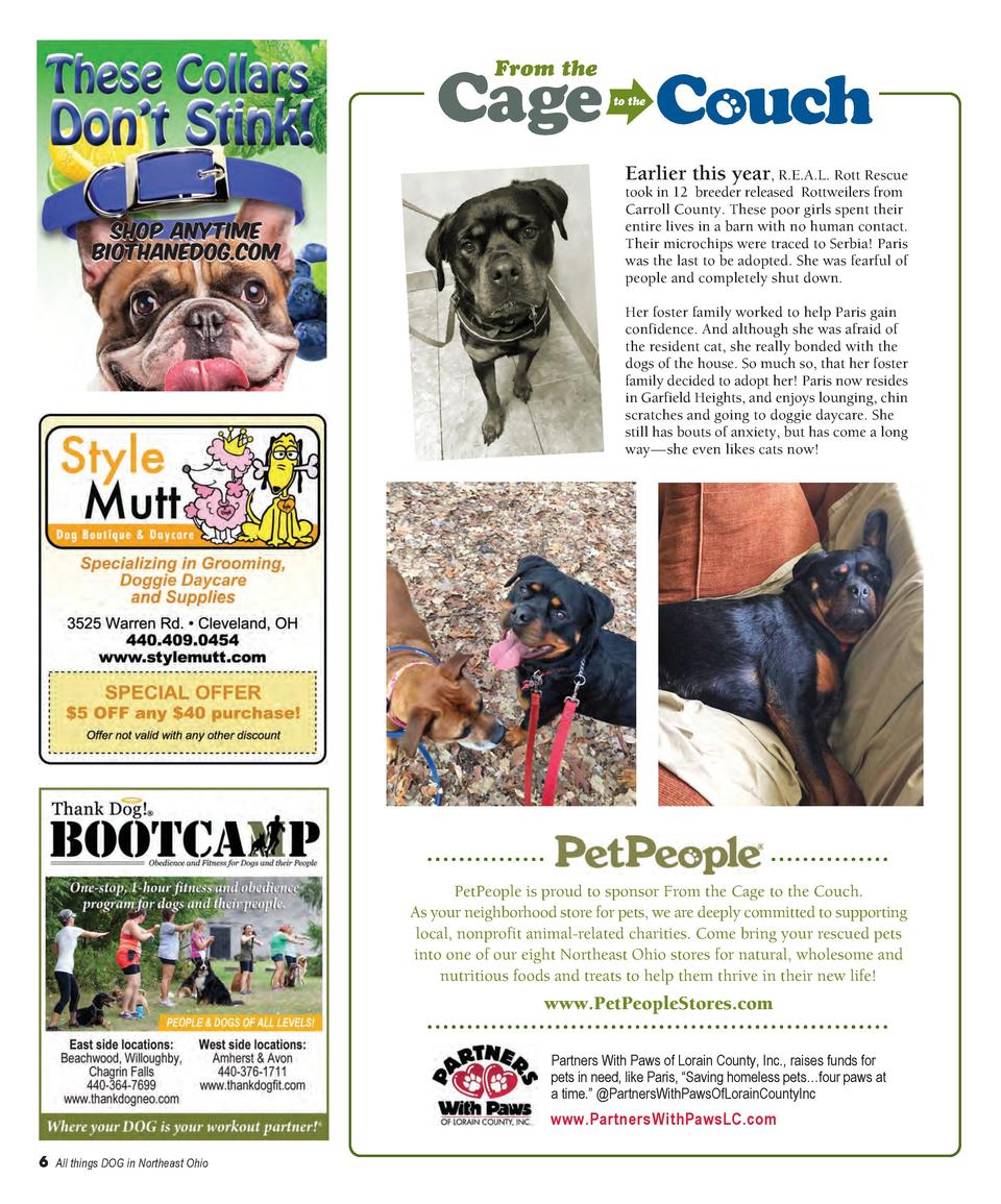 Cle Dog July 2017 Simplebooklet Com