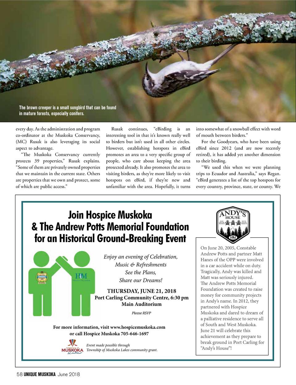 June 2018 Issue 11