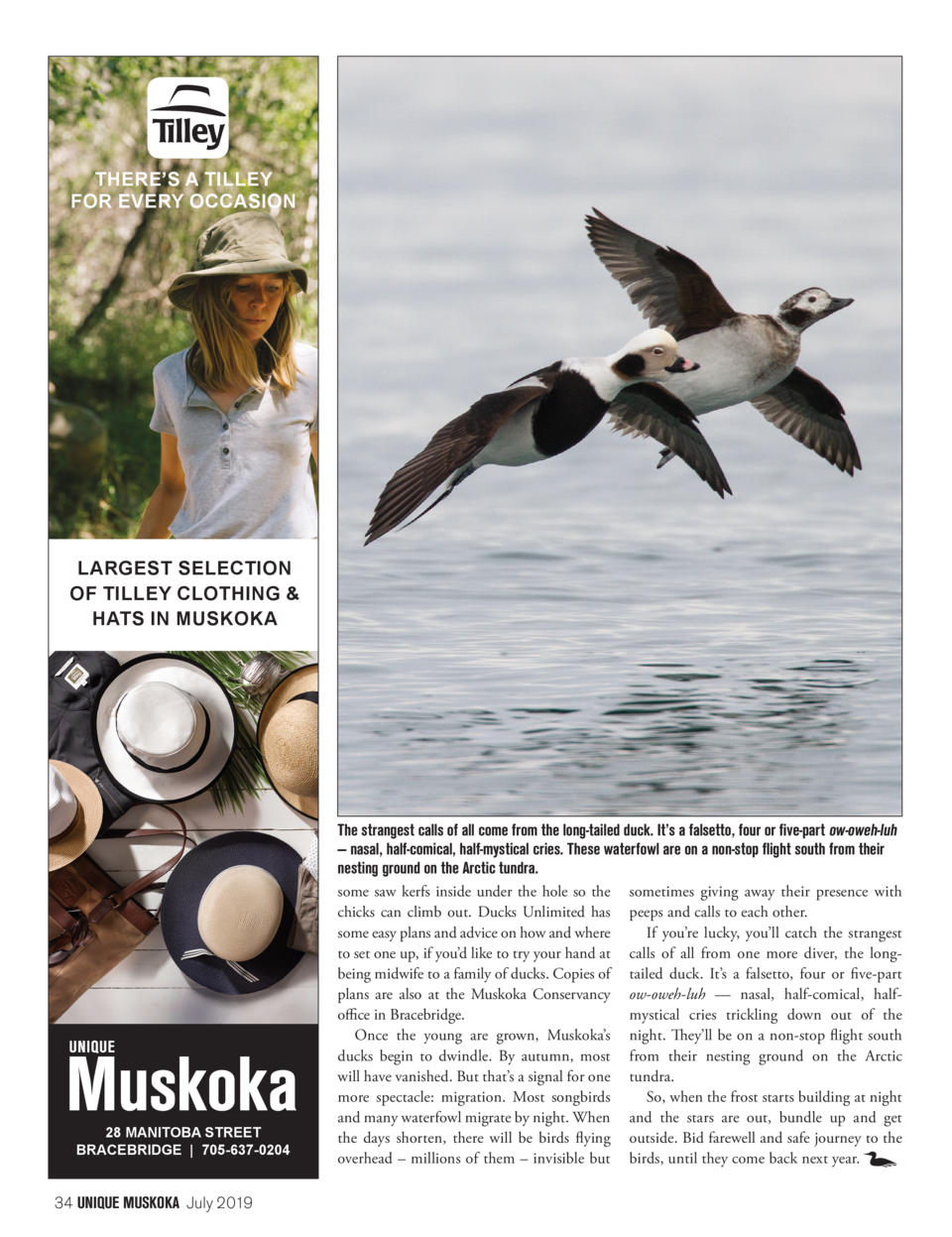 Uniquemuskoka July2019 Issue18