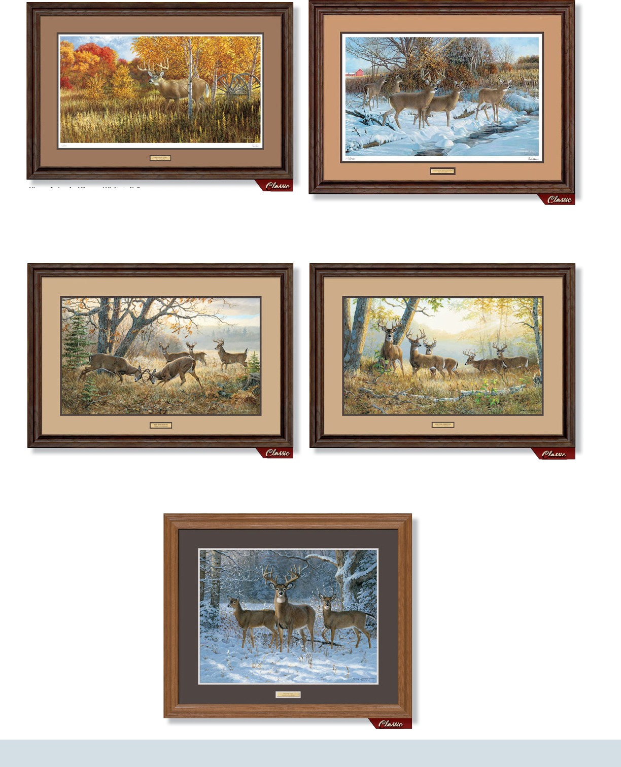 2019-2020 Art Collection