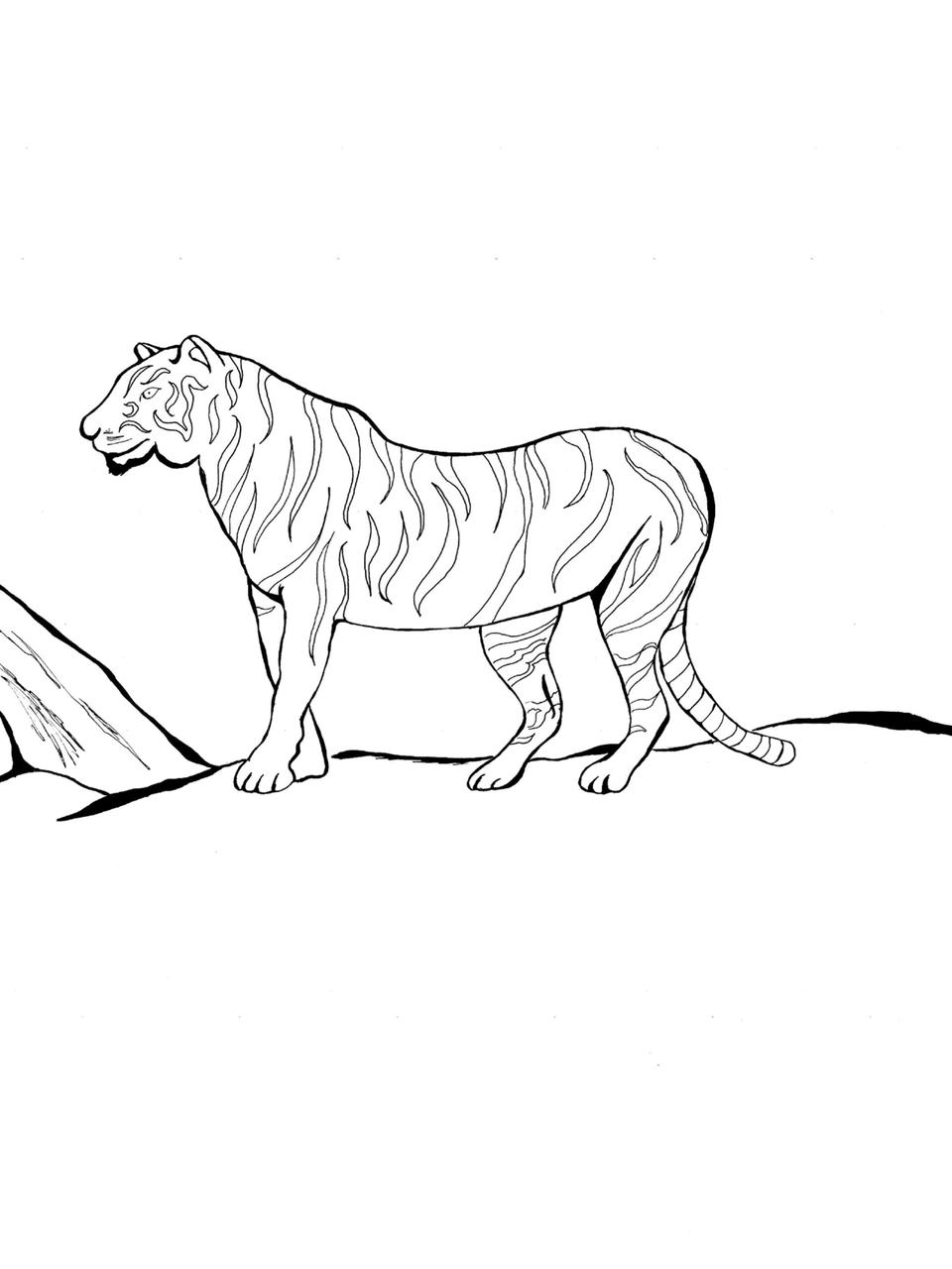 Extinct Animals Coloring Boock : simplebooklet.com