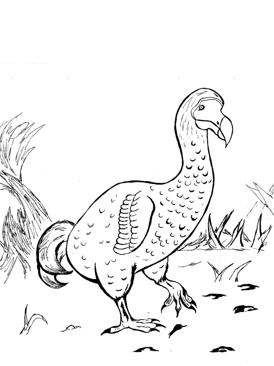 Coloring Book Of Extinct Animals - 1396+ Popular SVG Design - Free SVG