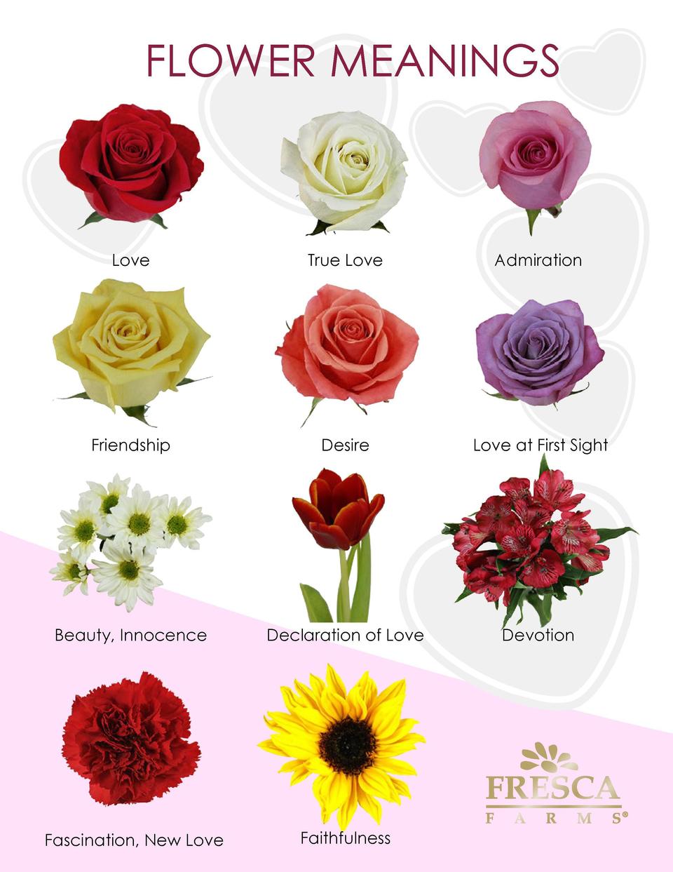 Quarterly Publication Simplebooklet