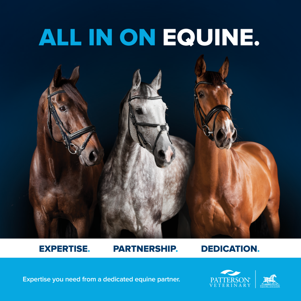 Equine Division Brochure