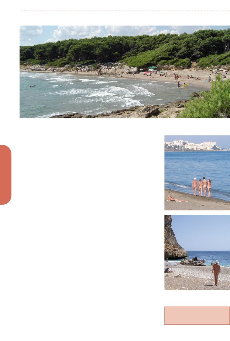 bare beaches bn member edition