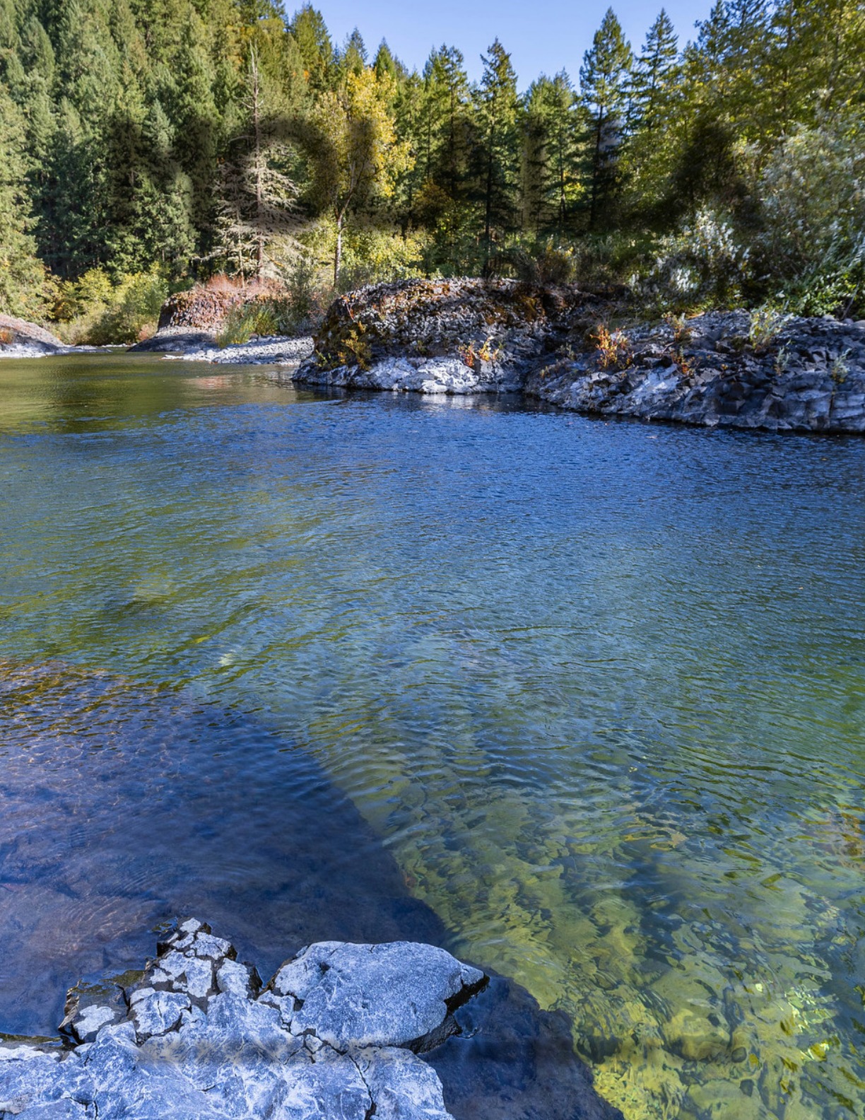 Molalla Chamber of Commerce Directory