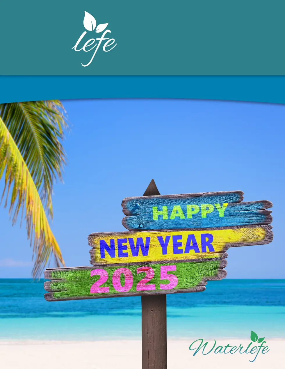 LEFE LIFE | January 2025