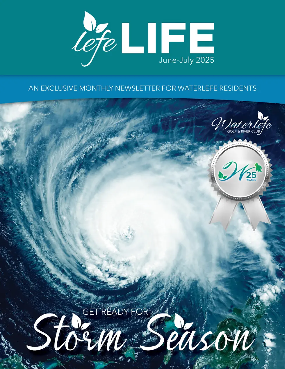 LEFE LIFE | June - July 2025