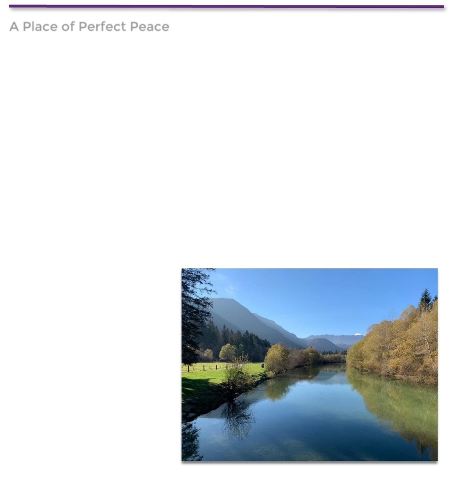 Issue 8 Simplebooklet Com