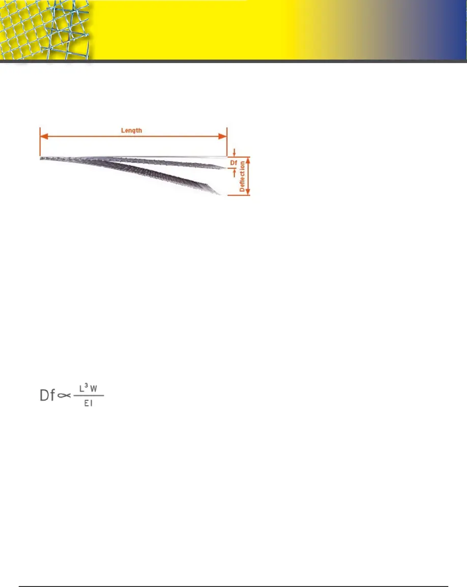 Wire Mesh Scales & Fundamentals