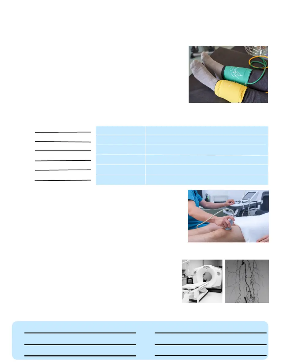 Full size PAD Brochure